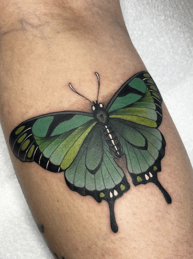 Green Butterfly Tattoo