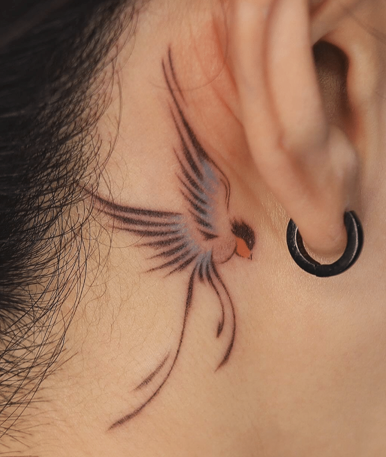 Swallow Behind The Ear